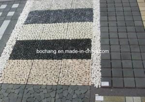 Cheap Chinese Natural Granite for Exterior Decoration Paving Stone/Kerbstone/Bend Kerbstone/Curbstones