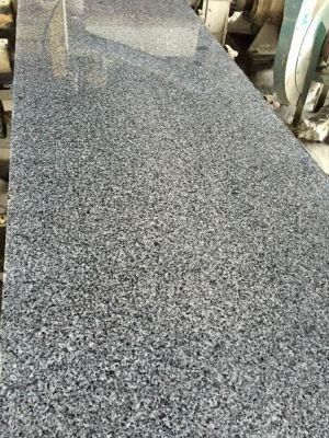 Top Quality Edison Black Granite Material for Tile and Slab