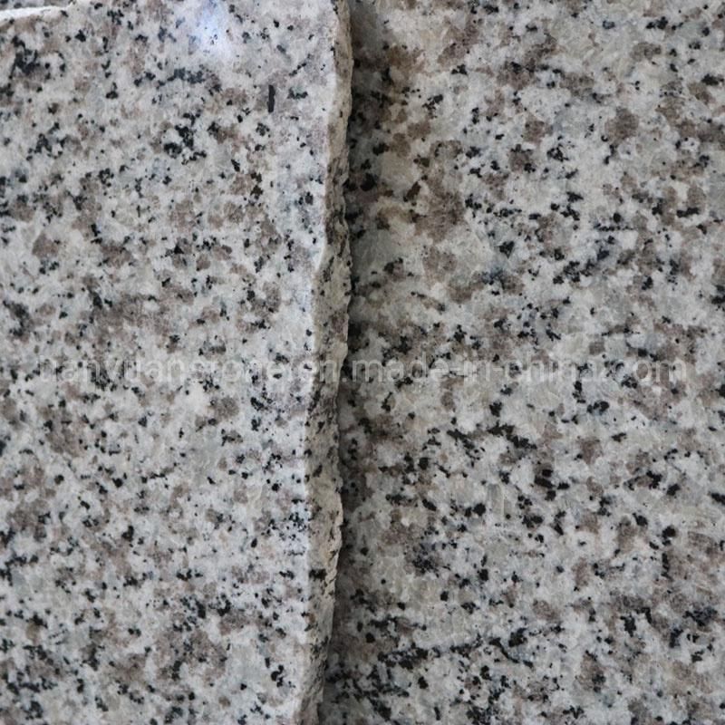 Grey Granite Tiles G439 White Bala Granite Countertops for Kitchen/Bathroom/Vanity-Top