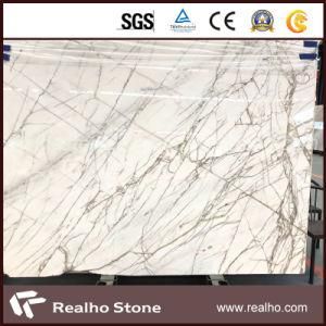 Polished White Spruce Marble Slabs for Wall