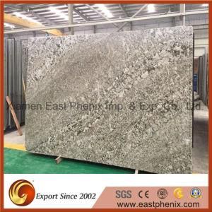 Imported Light Grey Granite Slab for Kitchen Countertop