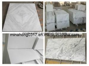 Pure White Marble/Carrar White/Statuary White/White Marble/Guangxi White/New Statuario White Tiles/Slabs