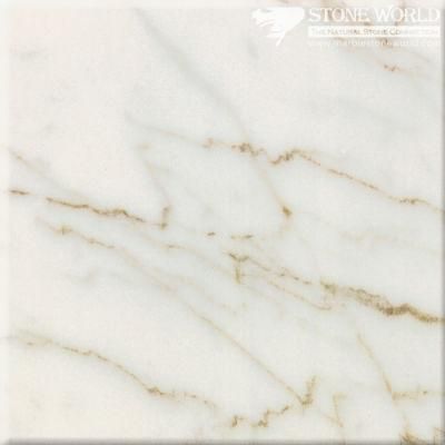 Polished Bianco Carrara Venato Marble Slabs for Flooring &amp; Wall (MT086)