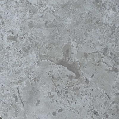 Honed Beige Natural Limestone Tile for Indoor Swimming Pool Coping/Pool Paving