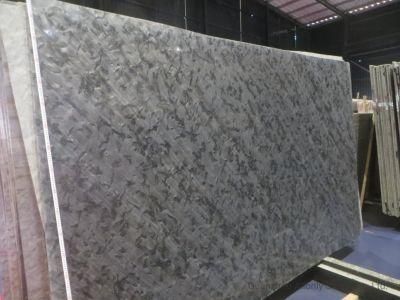 Wholesale Natural Versace Black Marble Luxury Stone for Hotel Design