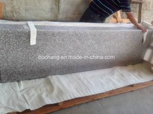 G664 Chinese Granite Countertop