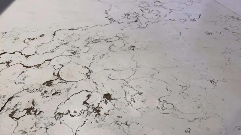 White Stone Tiles Champagne White Marble for Wall