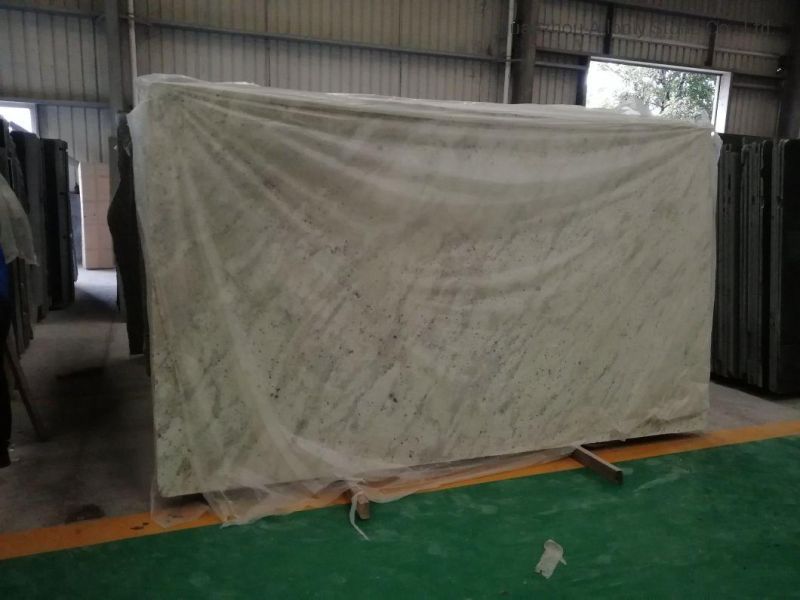 Natural Stone Andromeda White Granite Big Slab for Kitchen Countertop