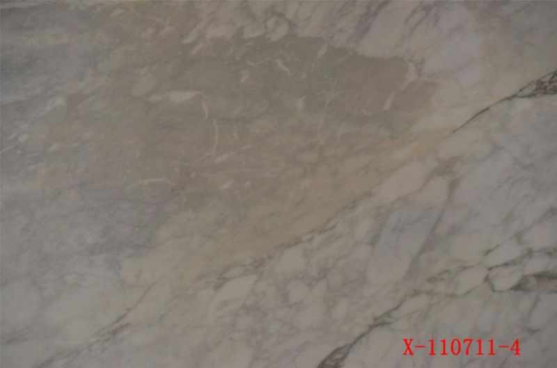 Natural Stone Grey/Beige Polished/Honed Marble for Floor/Wall Countertops Vanitytops