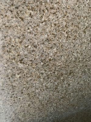 Rustic Golden Granite Stone G682 Tiles, Countertop and Half Slab