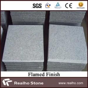Wholesale Cheap Price Flamed Grey and White Granite Flooring for Countyard