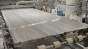 Luxury Silver Grey Marble Slabs Tiles for Floor/Wall/Stairs Decoration
