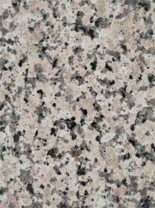 High Quality Rosa Porrino Granite for Kitchen Tops/ Vanity Tops