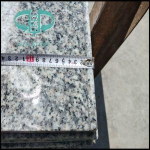 Cheap Rosa Beta Bianco Sardo G623 Granite for Countertop/Paving/Granite Tile/Flooring/Slab