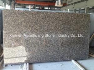 Antique Marron/Baltic Braun Dark Brown Granite Big Slabs