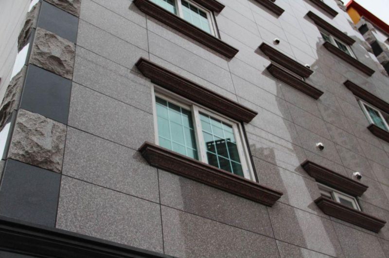 G664 Granite Tile for Wall and Floor