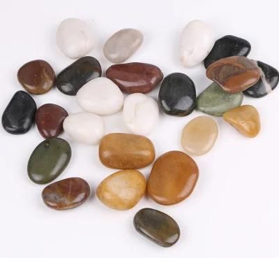 Landscape Stone High Polished Pebble Mix Stone for Garden Decoration/Multi Colour Pebbles