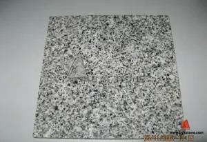 Discount Light Grey G614 Granite Kitchen Tiles for Flooring