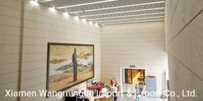 White Building Materials Terracotta Facade Panels for Museum Wall
