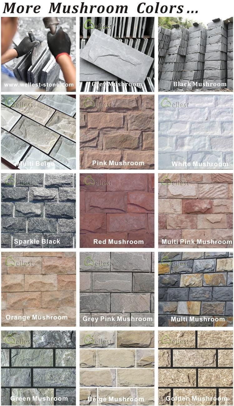 Rock Face White Quartzite Mushroom Wall Stone Tile for Exterior Wall Fadace