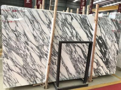 White Marble Arabescato Corchia Decorating Floor and Wall Marble Slab