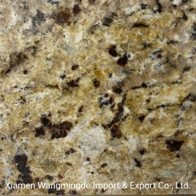 Natural Golden Granite for Building Walls and Countertop