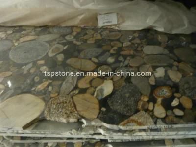 Natural Black Mariance Pebble Gold Granite Slabs