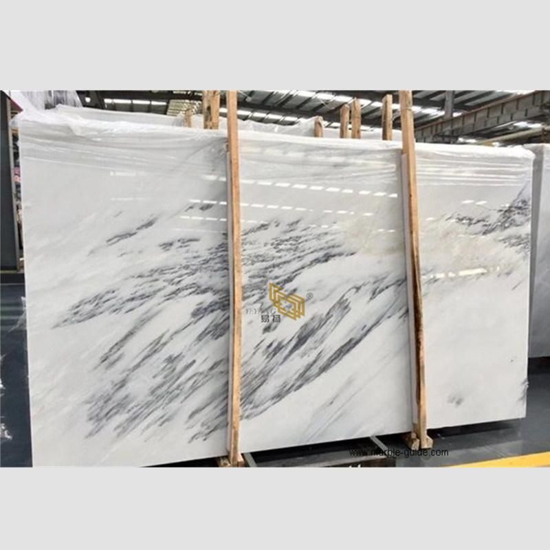 Natural Ink White Marble Stone Tile/Slab for Flooring/Bathroom/ Shower Wall/Vanity Tops/Flooring/Background