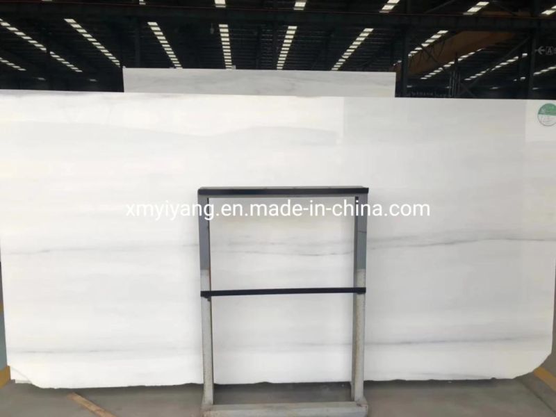 White Backgroud Marble New Bianco Sivec Marble Slab for Project