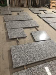 High Quality Building Material Bala White Granite for Home Remodeling/ Hotel Project