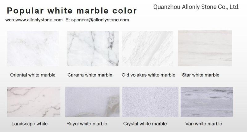 800X800 Floor Tile Ariston Venus White Marble for Wall