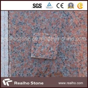 Stone Tile India Red Bathroom Tile for Wall/Floor
