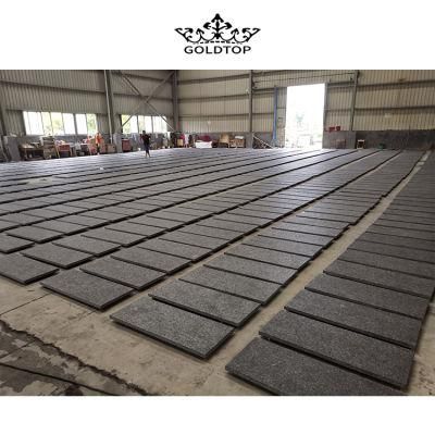 Angola Black Granite Slab Cut to Size Floor Tiles for Interior Exterior Wall Floor